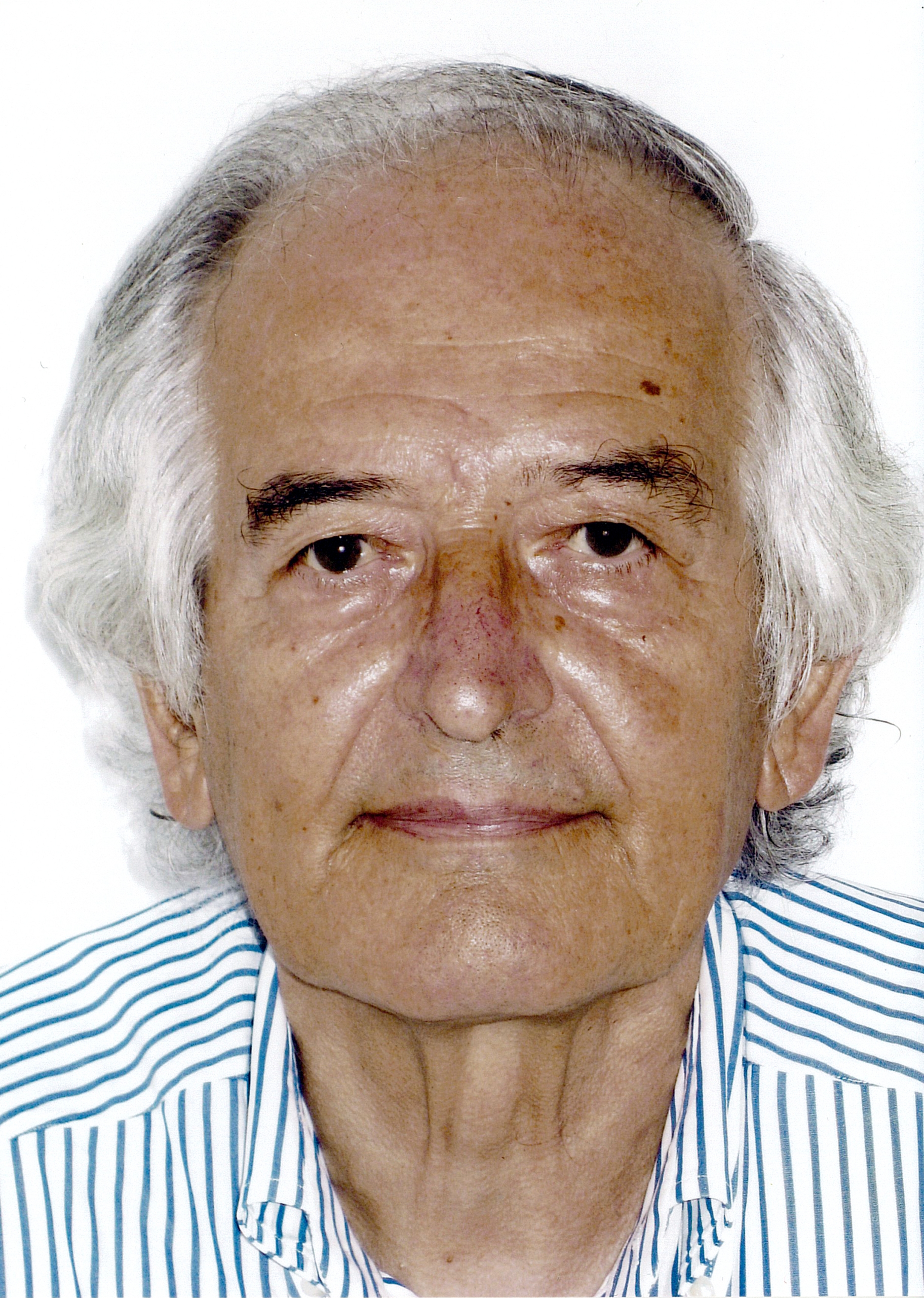bruno agato
